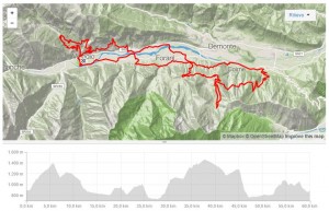 Promenado Marathon 2017